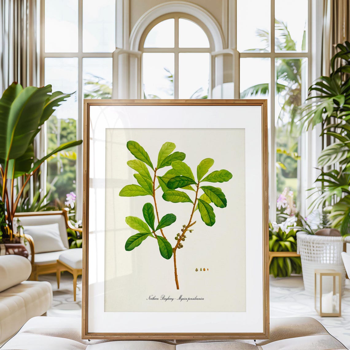 Northern Bayberry Myrica Pensylvanica Green Branch Botanical Poster - Image 3