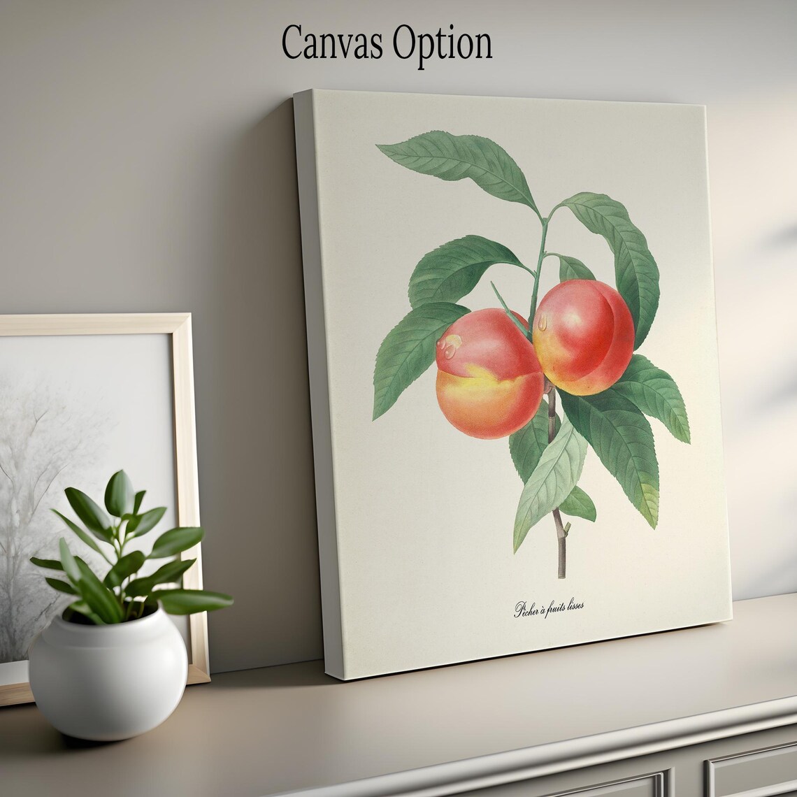 Peaches Botanical Art Print, Redoute-Inspired - Image 2