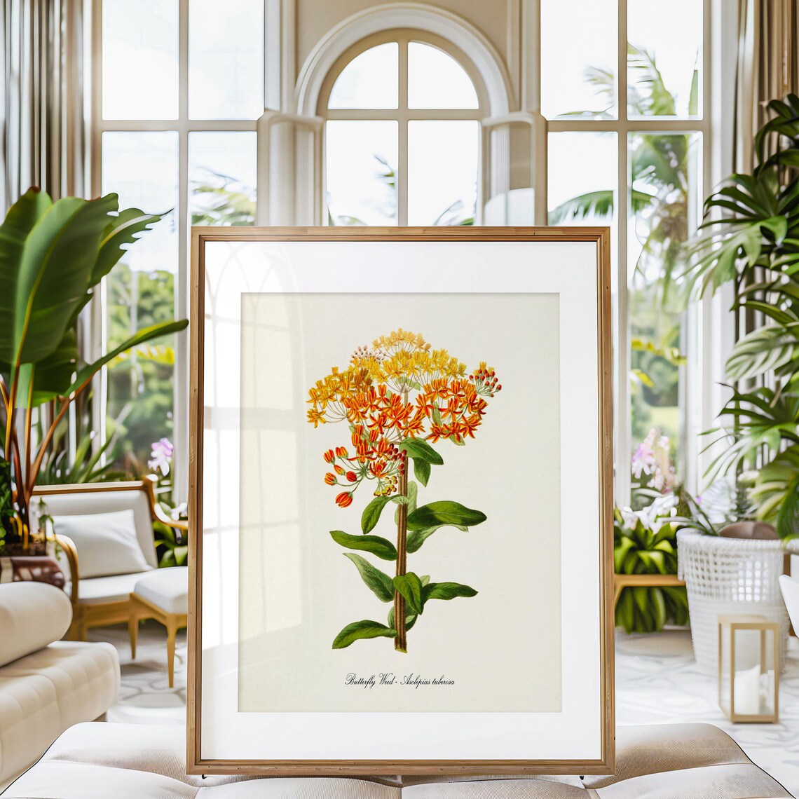 Butterfly Weed Flower Art Print, Botanical Print - Image 3