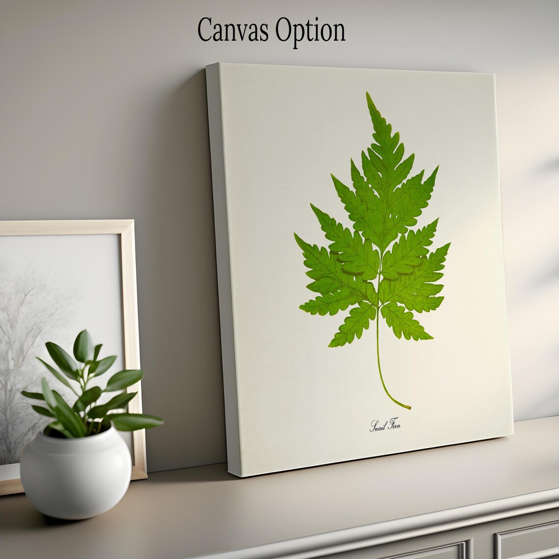 Snail Fern Botanical Poster, Nature Decor Art Print - Image 2