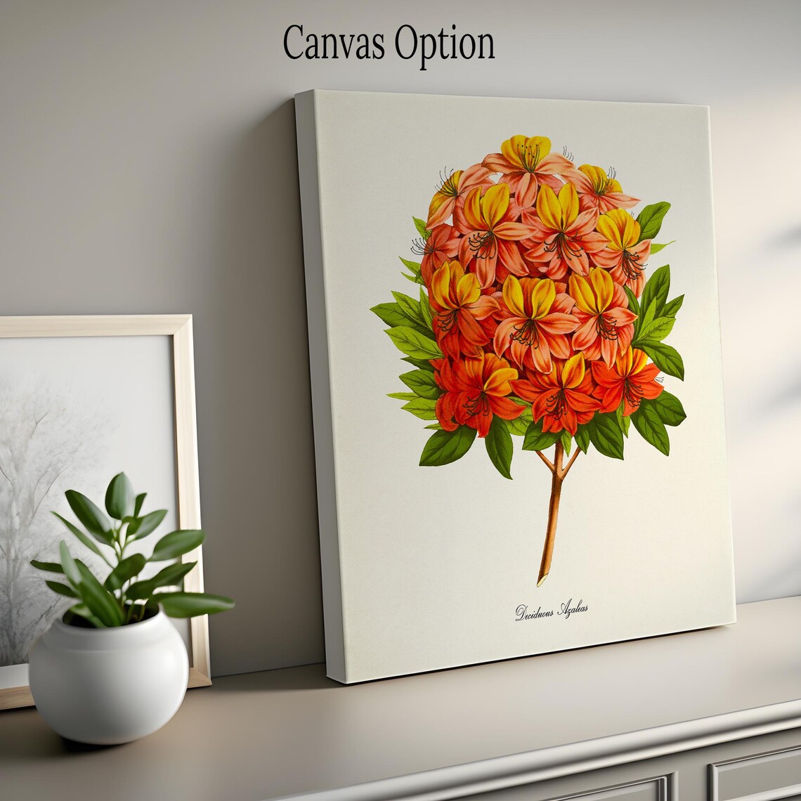Deciduous Azaleas Botanical Flower Art Print - Image 2