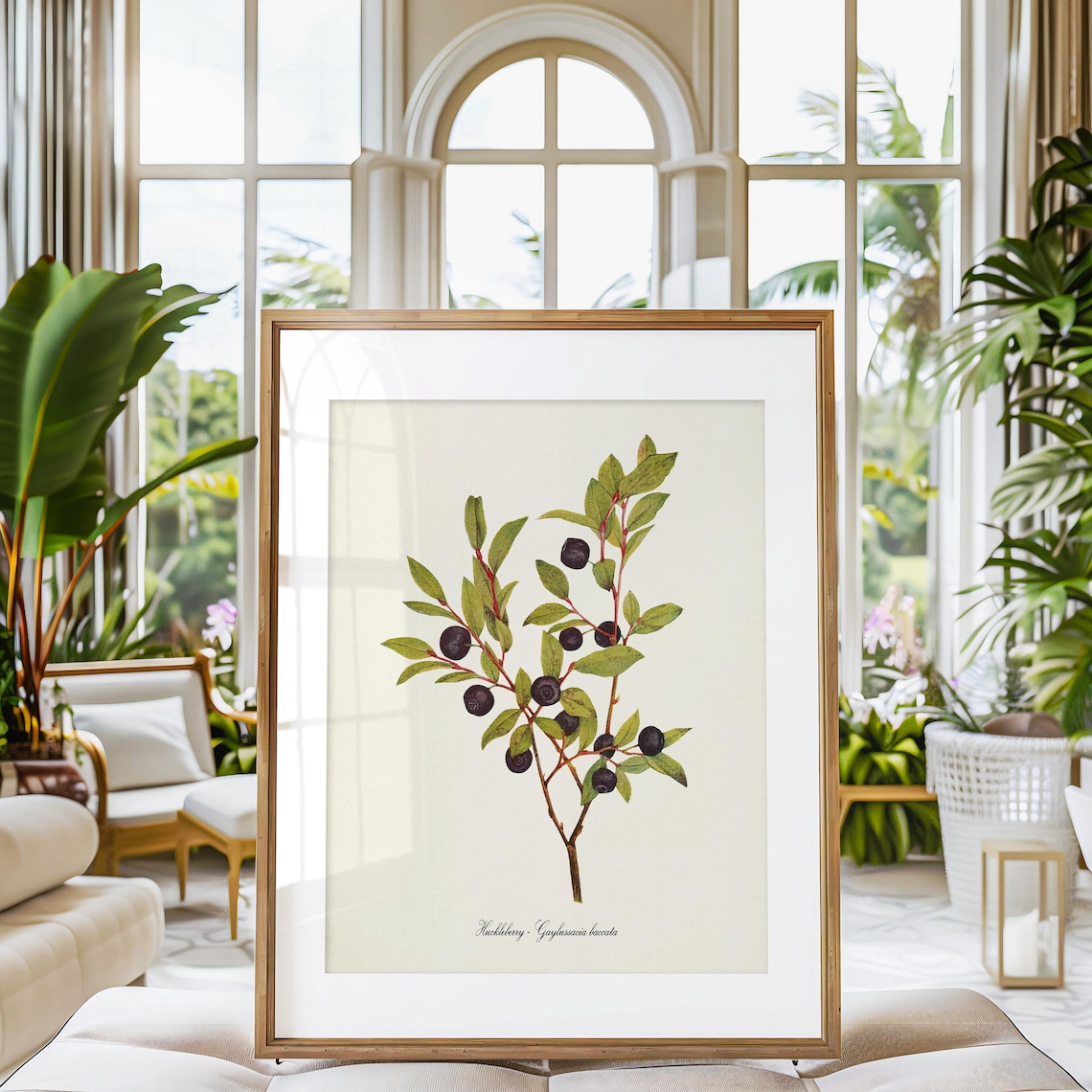 Huckleberry Botanical Print, Idaho State Fruit Art - Image 3