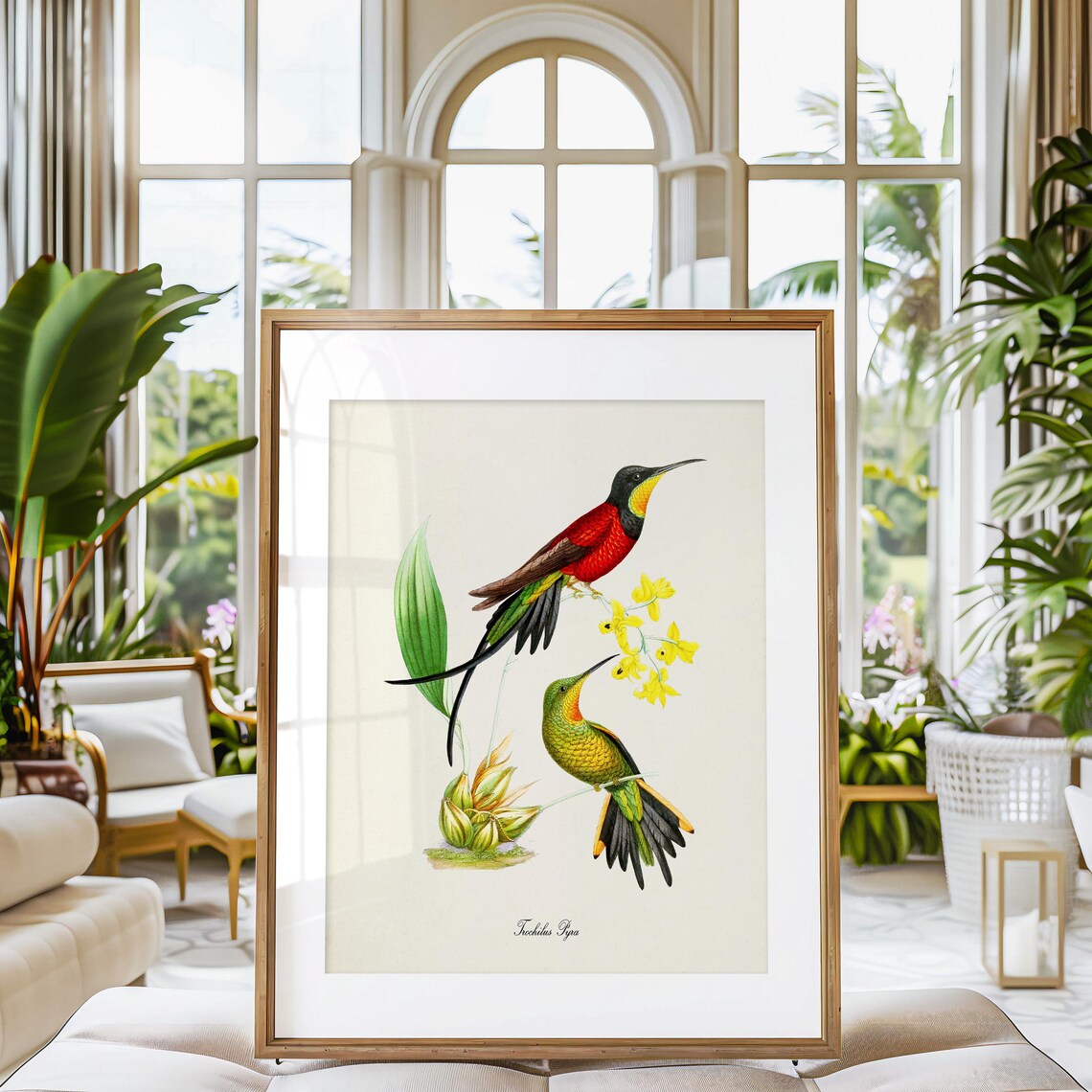 Hummingbird Bird Art Print, Floral Garden Poster - Image 3