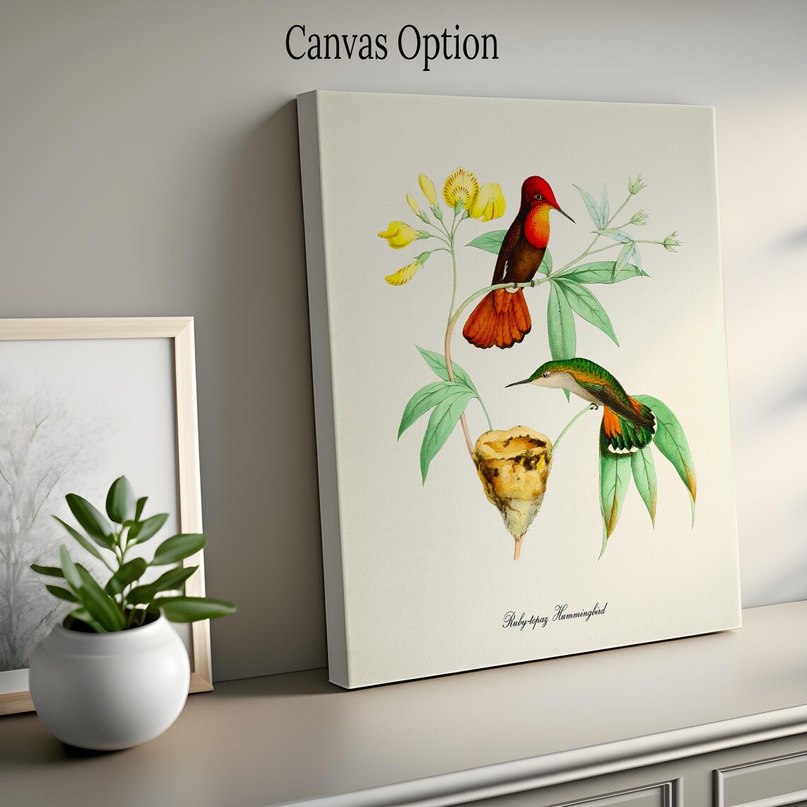 Ruby Topaz Hummingbird Art Print, Bird Poster - Image 2