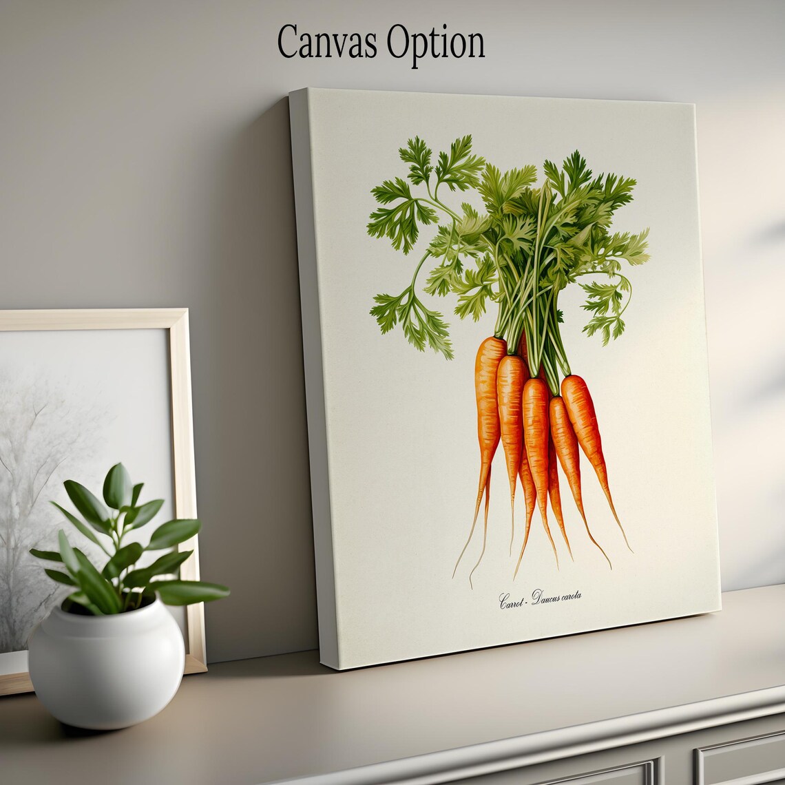 Carrot Botanical Wall Art Print, Daucus Carota - Image 2