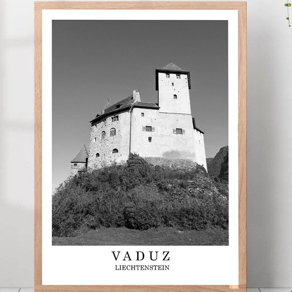 Vaduz Liechtenstein Castle Hilltop Black And White Photo Poster