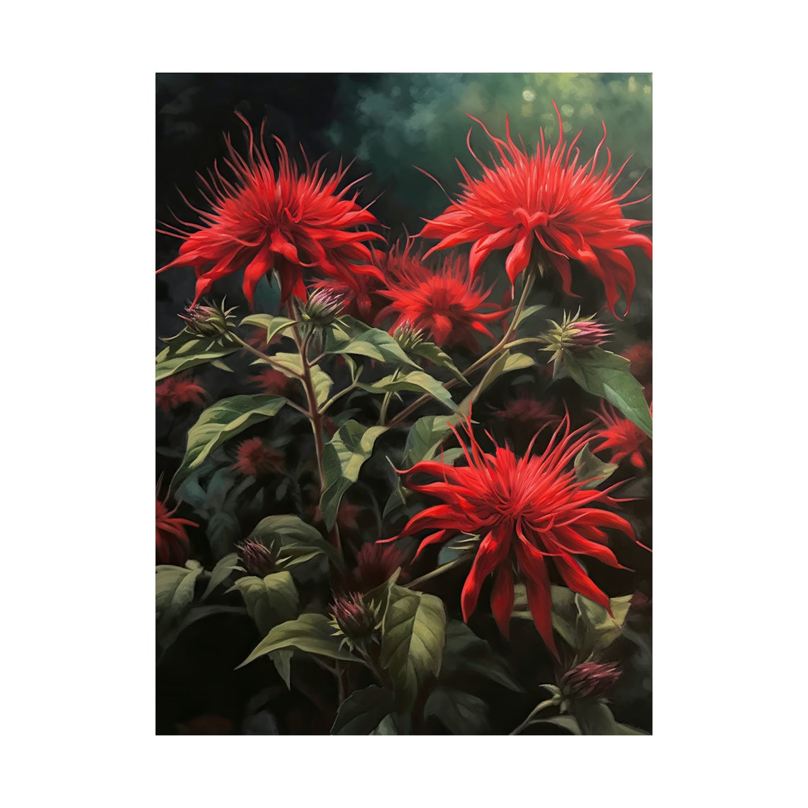Red Bee Balm Flower Art Print Flower Painting Flower Dcor Floral Art Print Floral Wall Art Painting Floral Artwork Botanical Print - Image 4