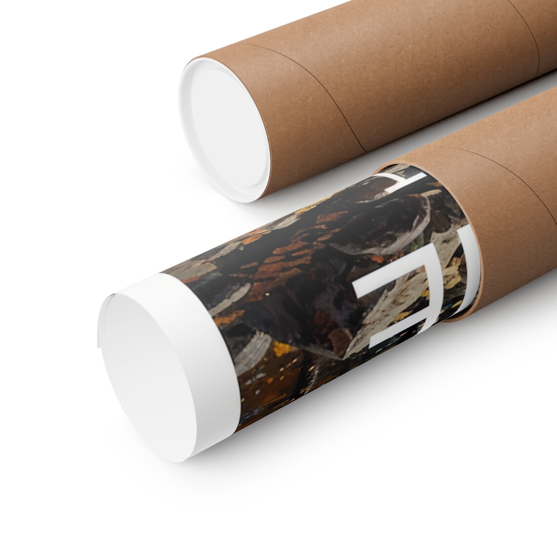 Uwharrie National Forest Autumn Stream Golden Foliage Scenic Poster - Image 2