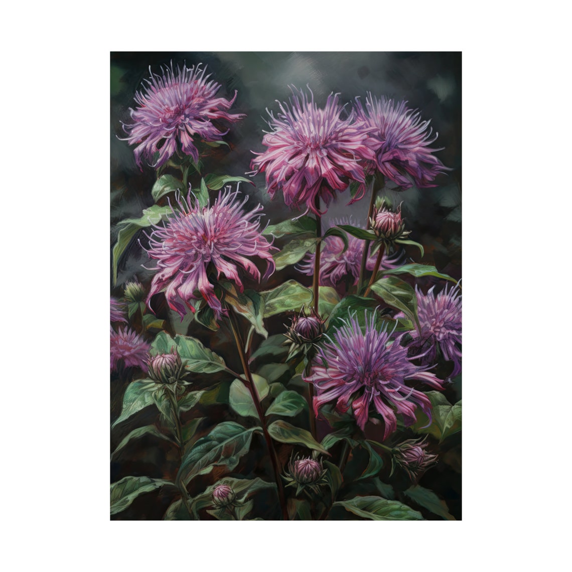 Purple Bee Balm Flower Art Print Flower Painting Flower Dcor Floral Art Print Floral Wall Art Painting Floral Artwork Botanical Print - Image 4