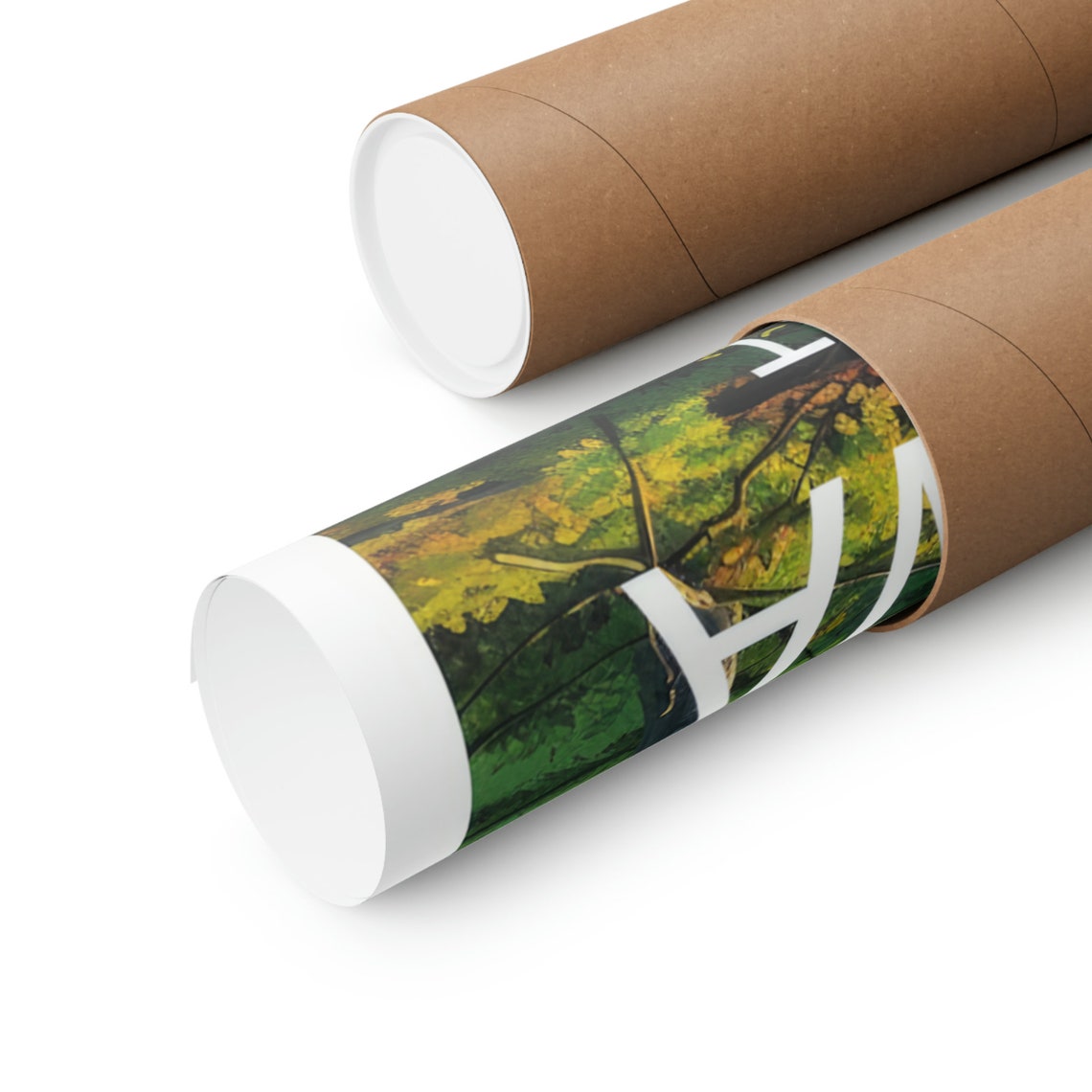 Chippewa National Forest Sunlit Green Woodland Interior Scenic Poster - Image 2