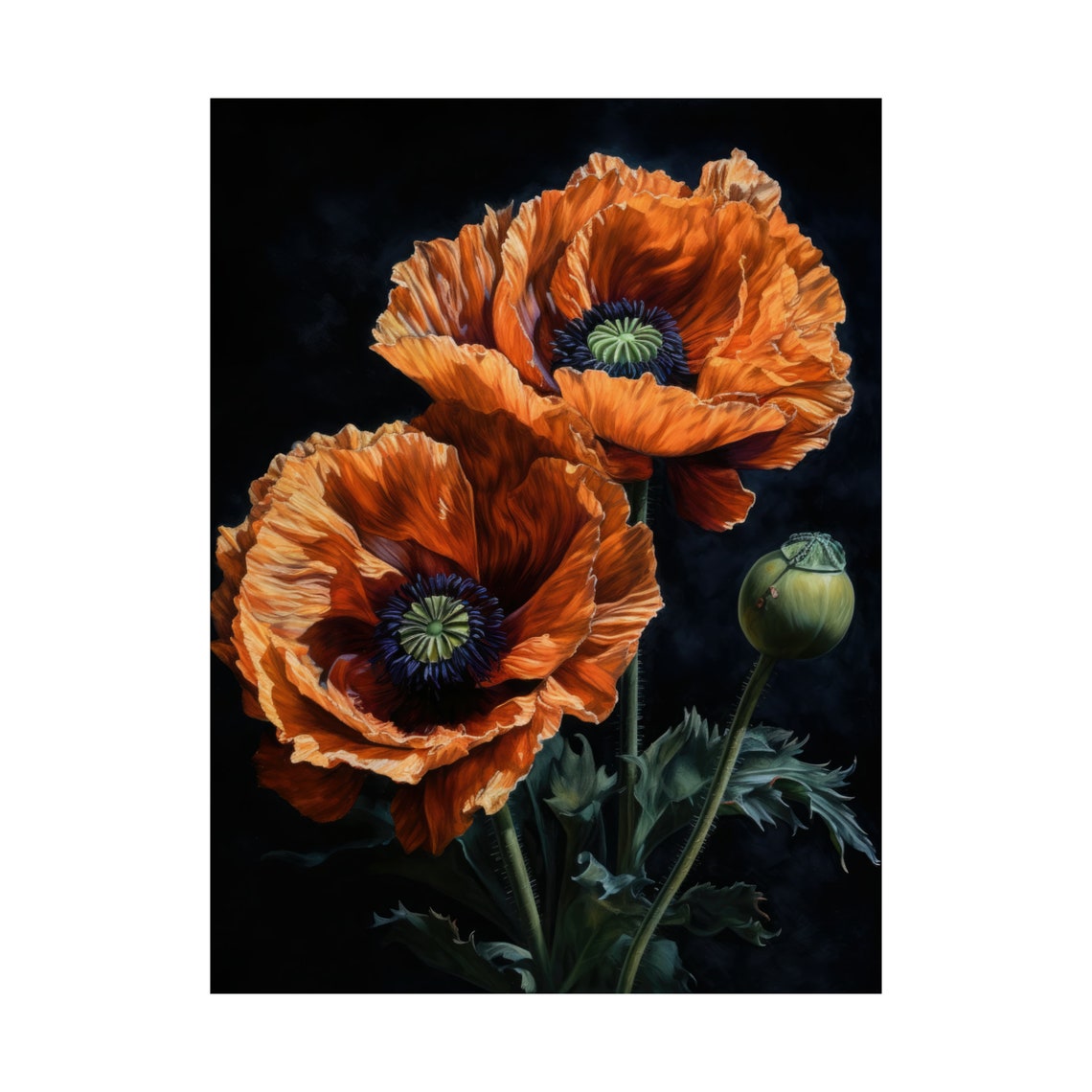 Oriental Poppy Flowers Vivid Orange Dark Dramatic Botanical Art Print - Image 4