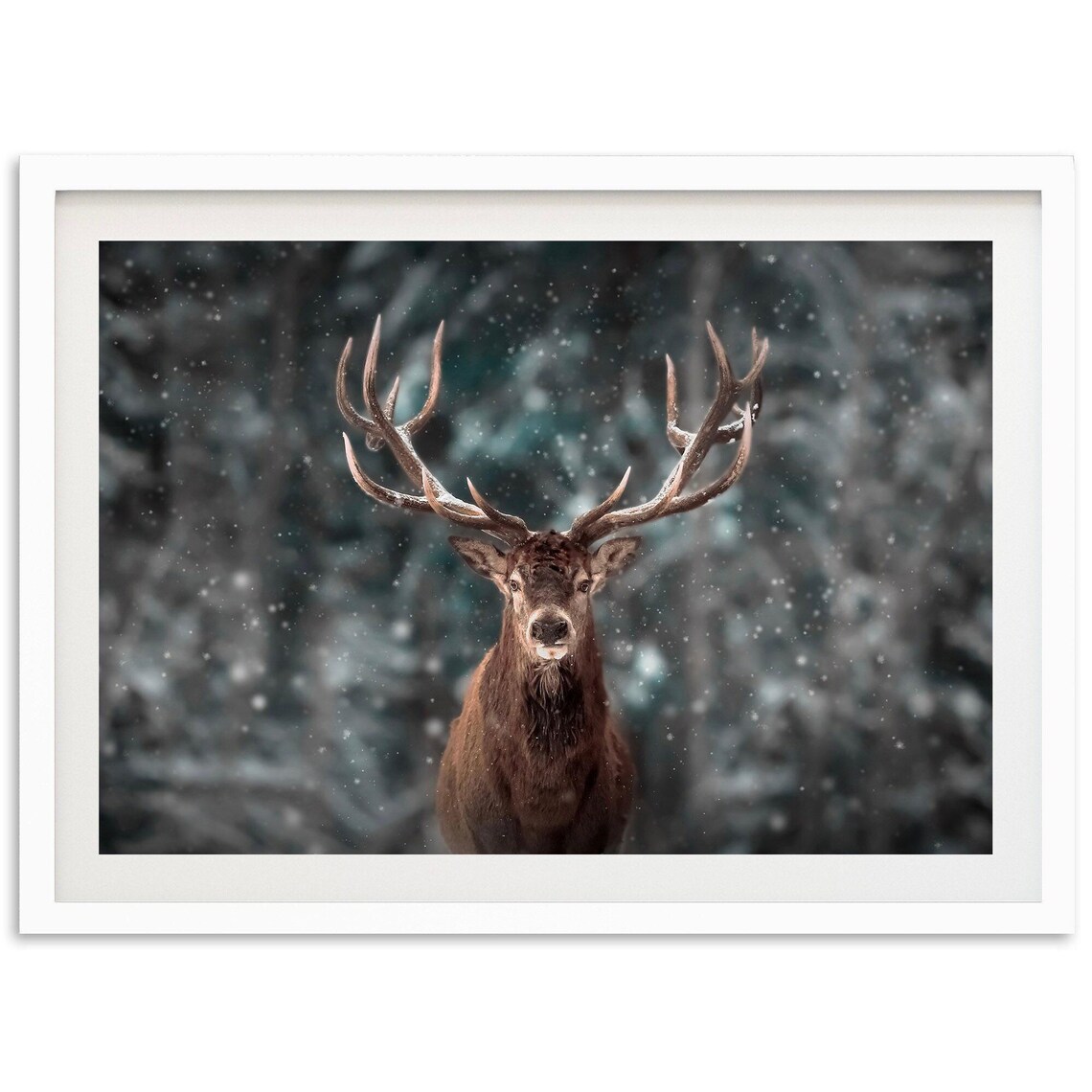 Fine Art Wild Stag Deer Print Forest Animal Framed Photography Wall Decor