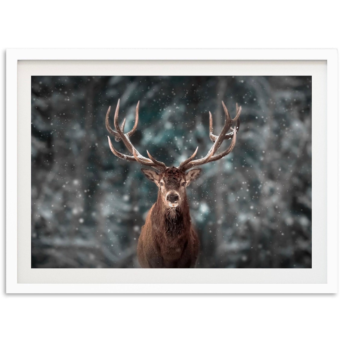Red Deer Stag Standing in Snowy Forest Wildlife Photo Poster