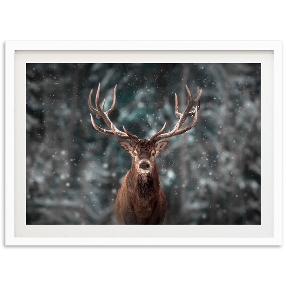 Fine Art Wild Stag Deer Print Forest Animal Framed Photography Wall Decor