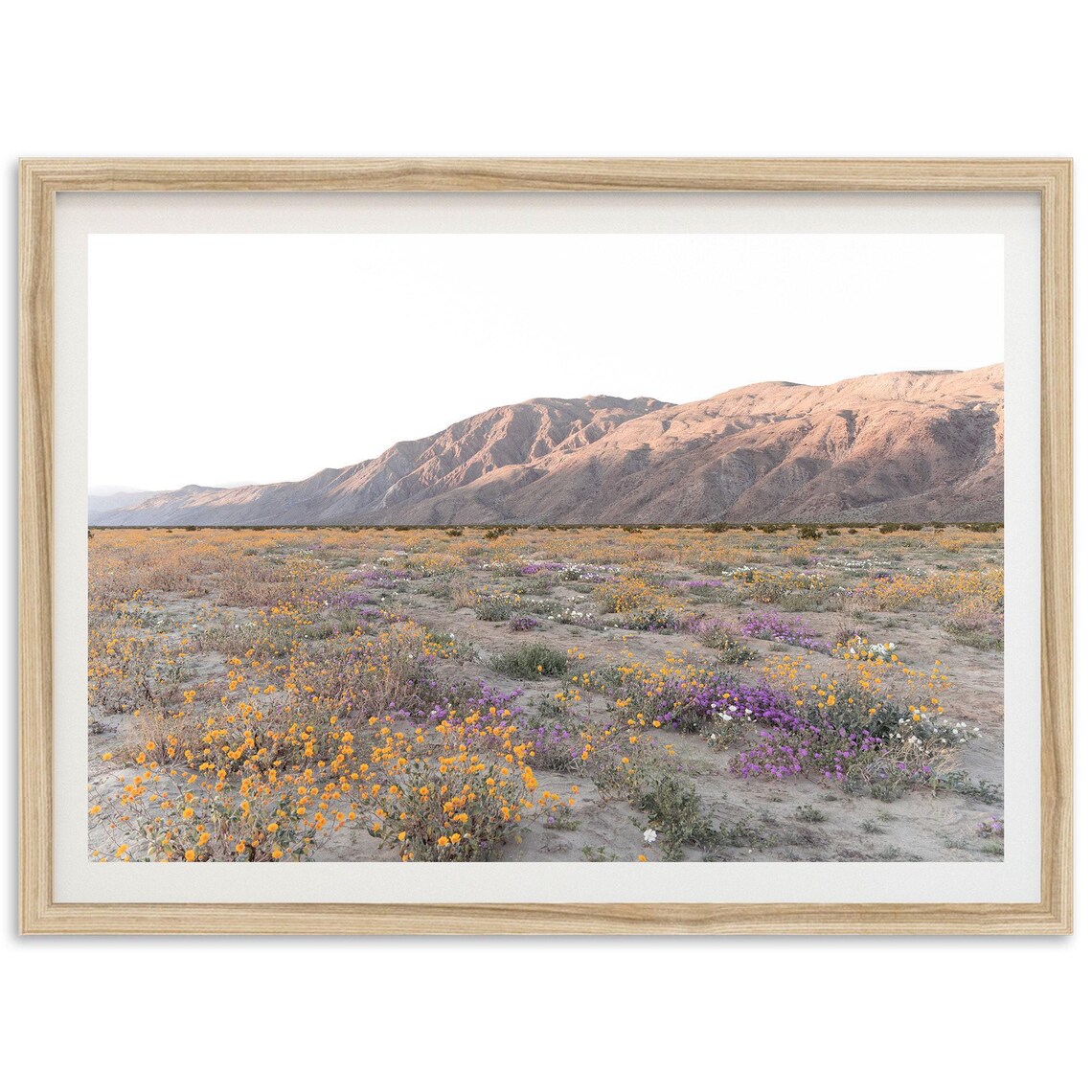 Desert Wildflower Superbloom Fine Art Landscape Photography Poster