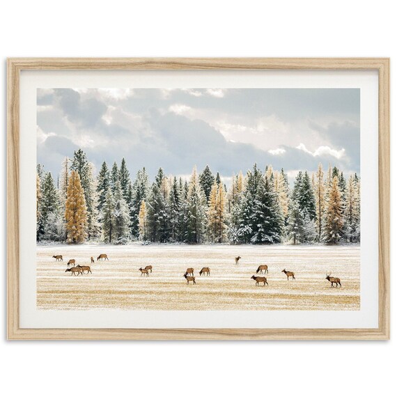 Wild Deer Forest Landscape Art Print