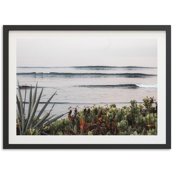 Baja Mexico Ocean Waves Beach Succulent Coastal Photography Print