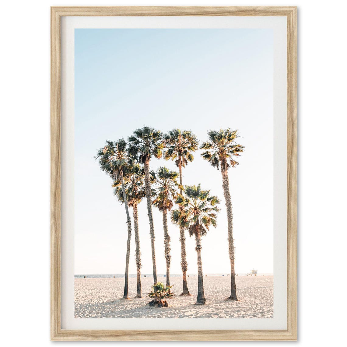 Santa Monica Beach Palm Trees Coastal Photography Summer Wall Poster