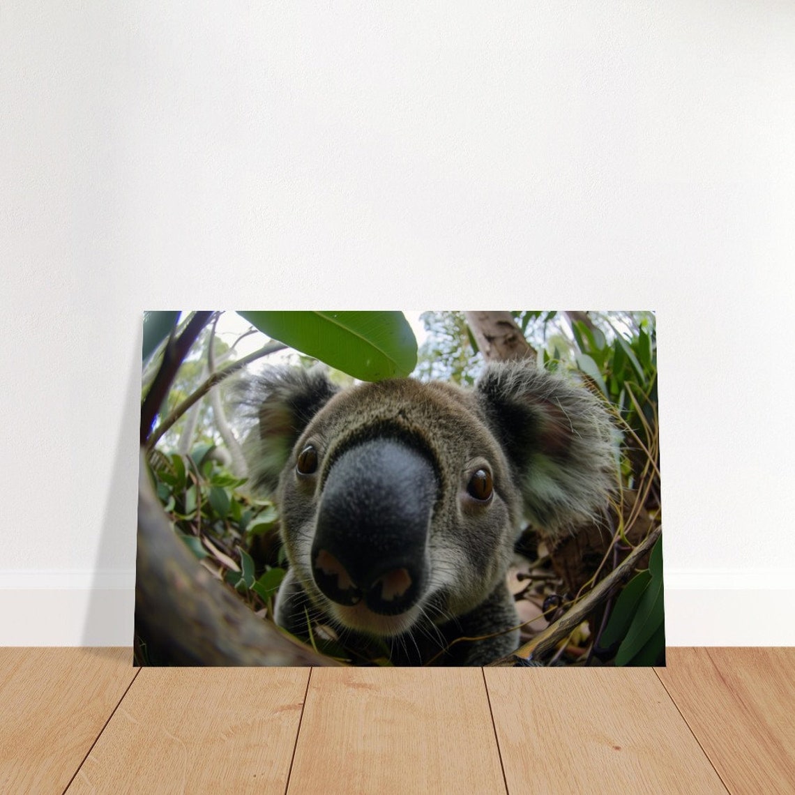 Koala Nose Close Up Fish Eye Eucalyptus Wildlife Photography Poster