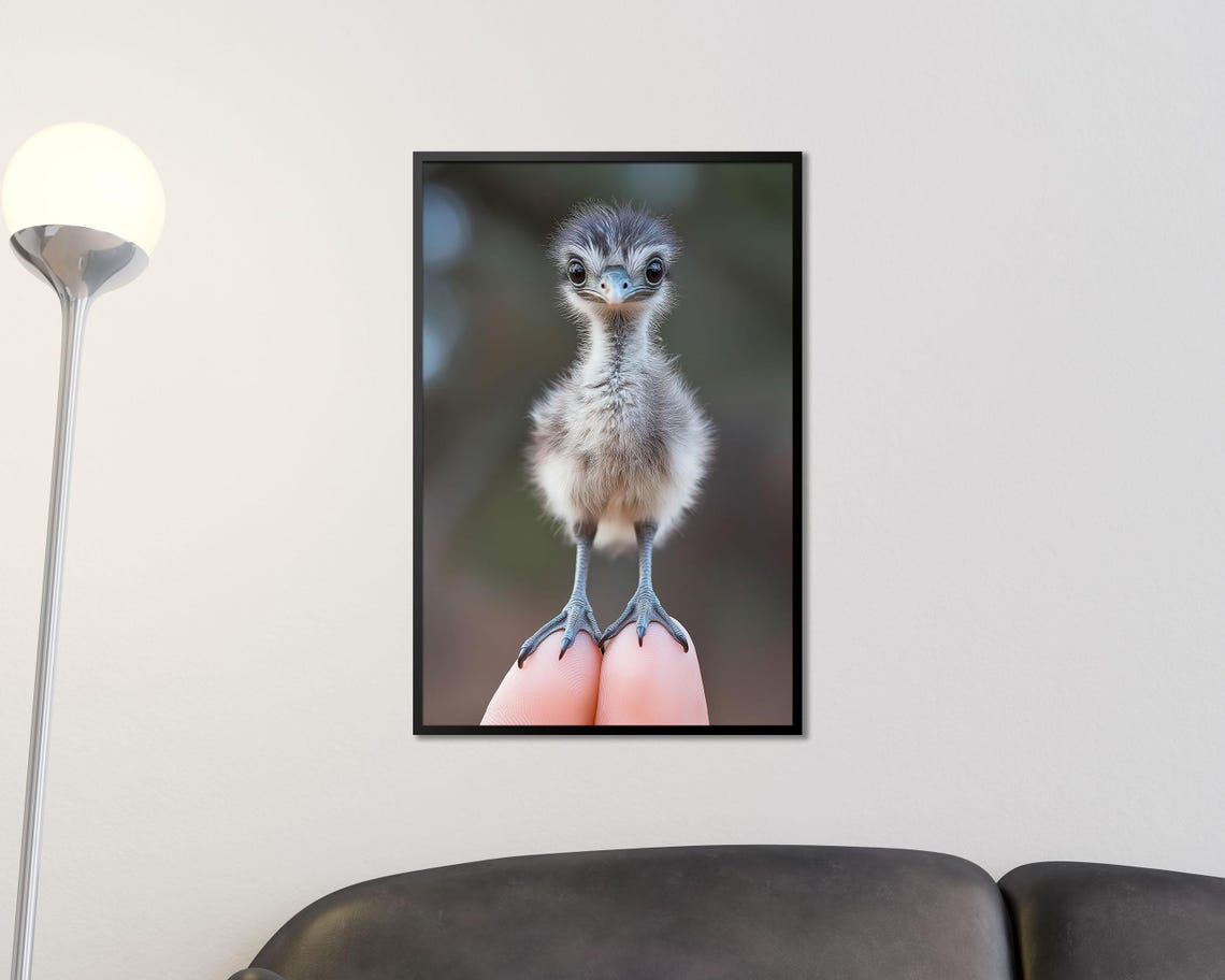 Tiny Baby Emu Chick Standing on Fingertips Cute Photo Wall Art - Image 3