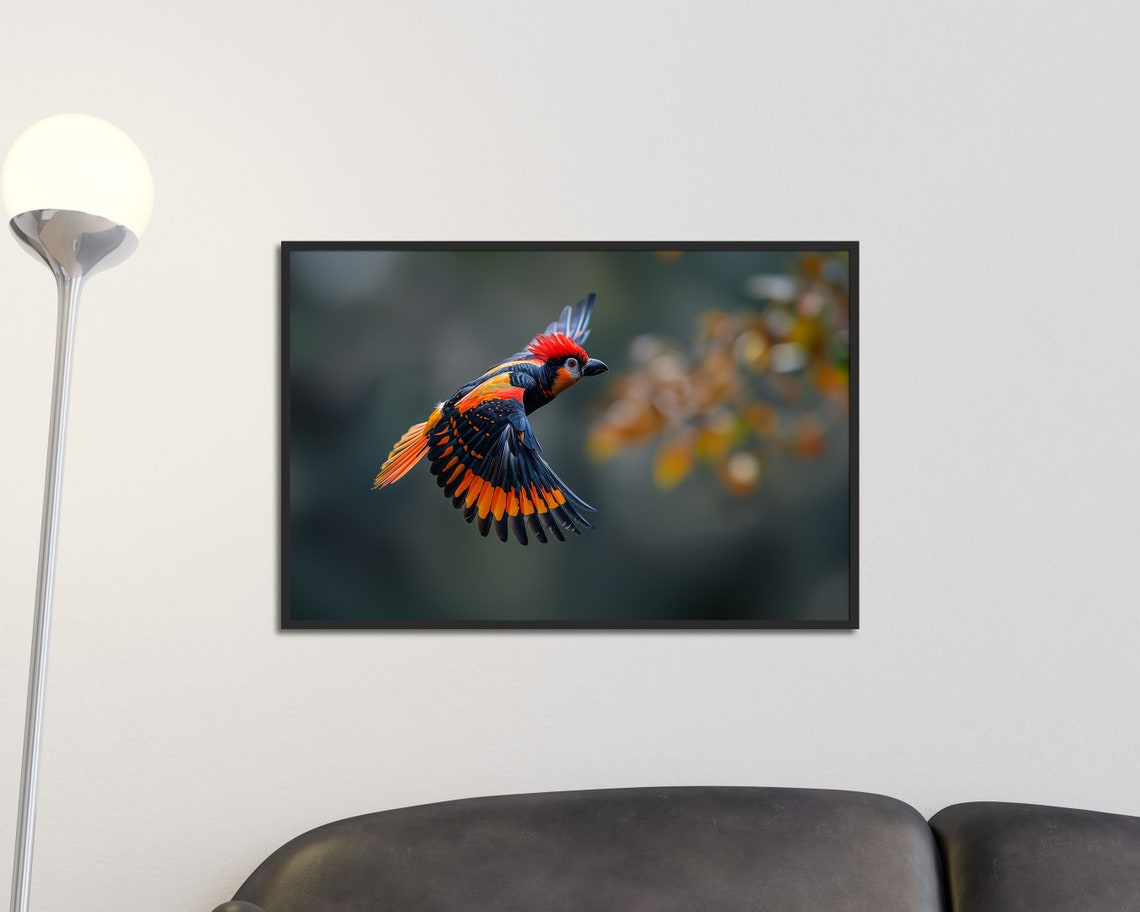 Red And Black Songbird In Flight Wildlife Birdwatcher Art Poster