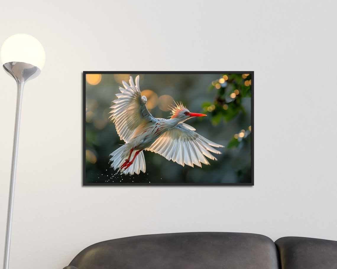 Crested Ibis Flying In Golden Light White Bird Wildlife Art Print