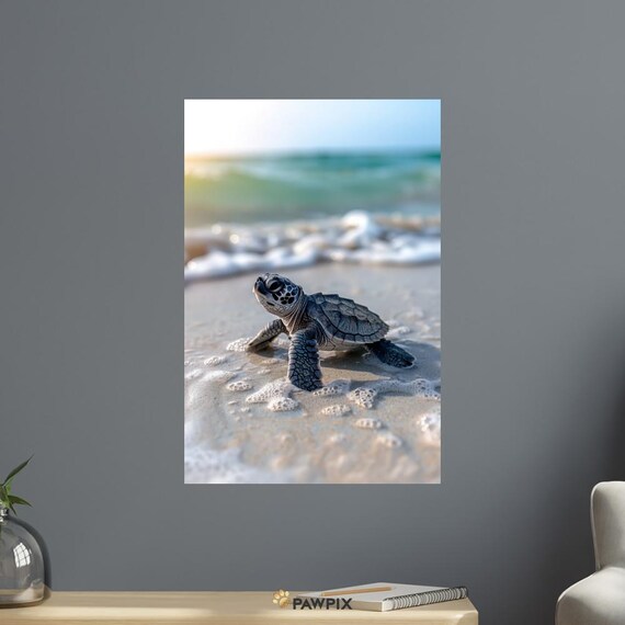 Baby Sea Turtle Hatchling On Beach Sand Ocean Shore Photo Poster