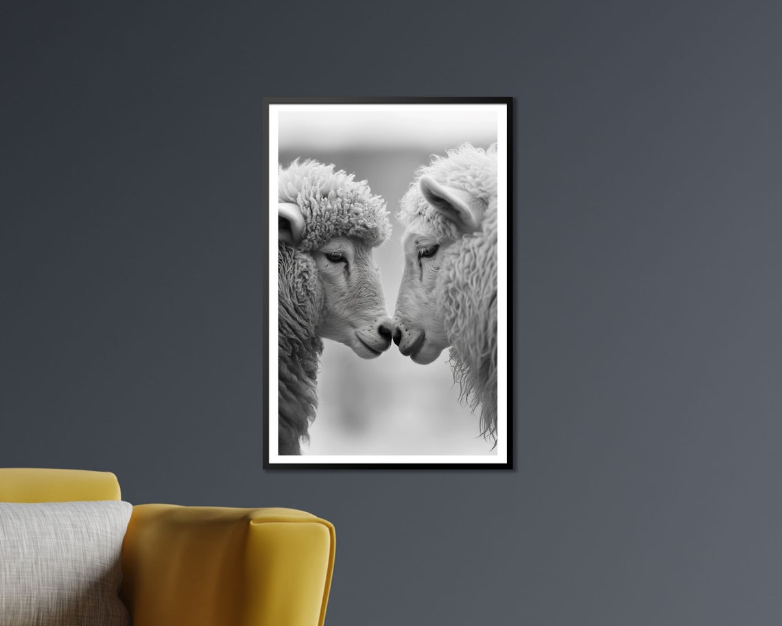 Tender Sheep Pair Nose To Nose Black And White Farm Animal Wall Poster - Image 2