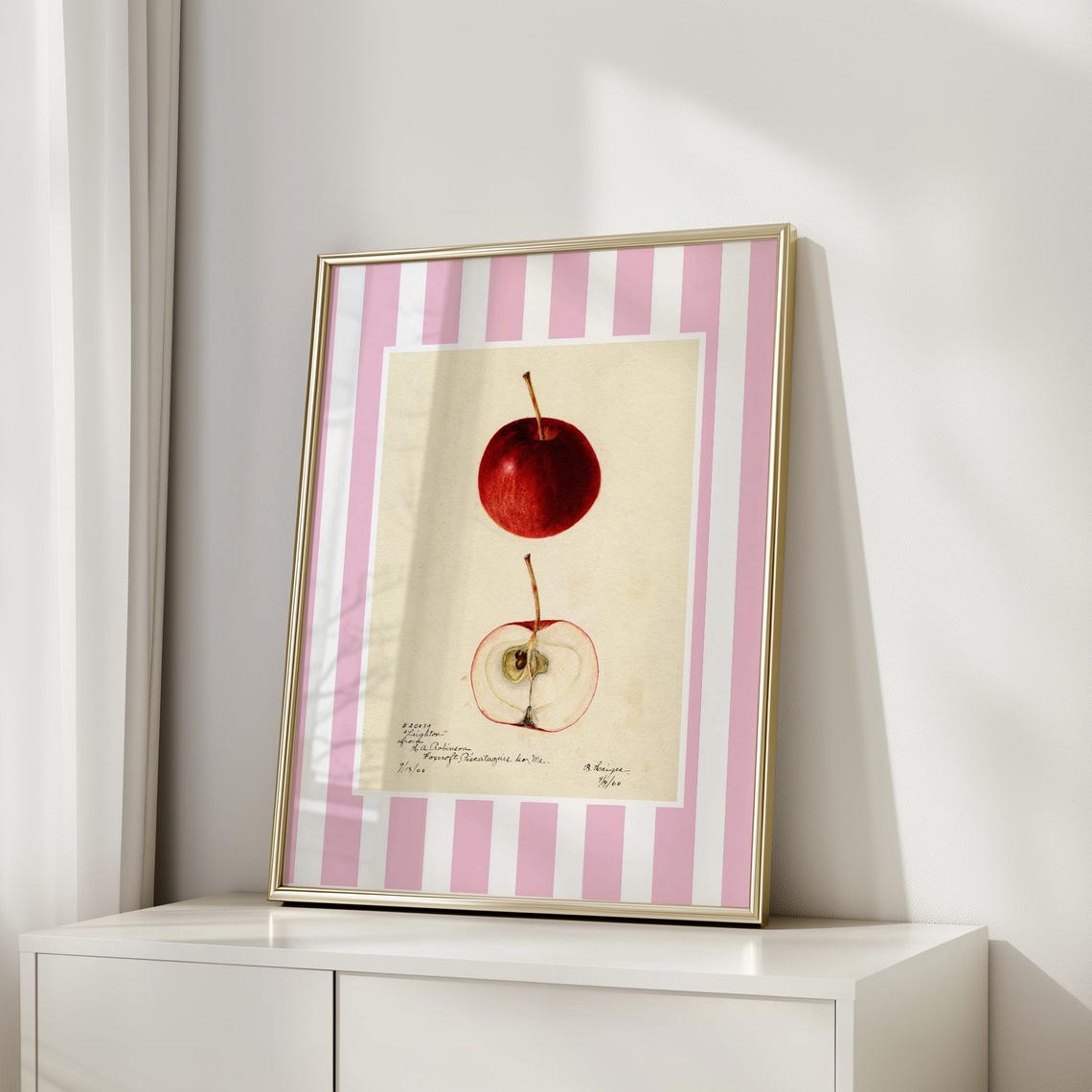 Apple Botanical Vintage Fruit Illustration Red Pink Stripe Poster - Image 4