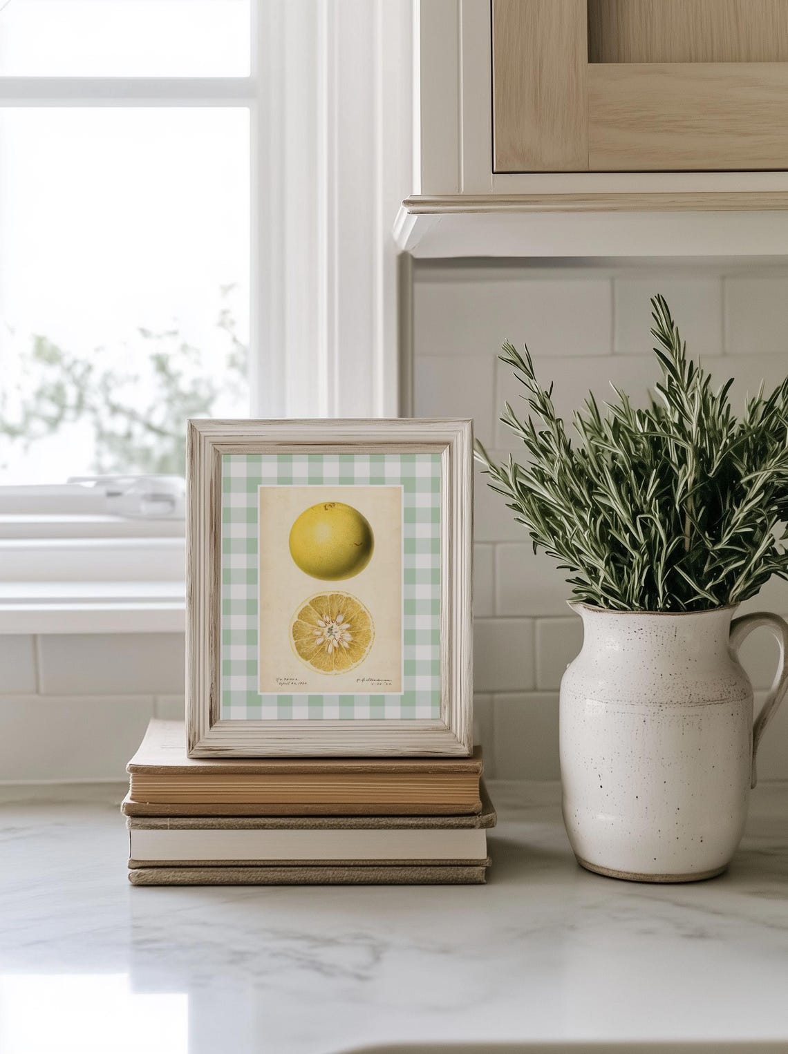 Vintage Grapefruit Botanical Illustration Green Gingham Kitchen Poster - Image 2