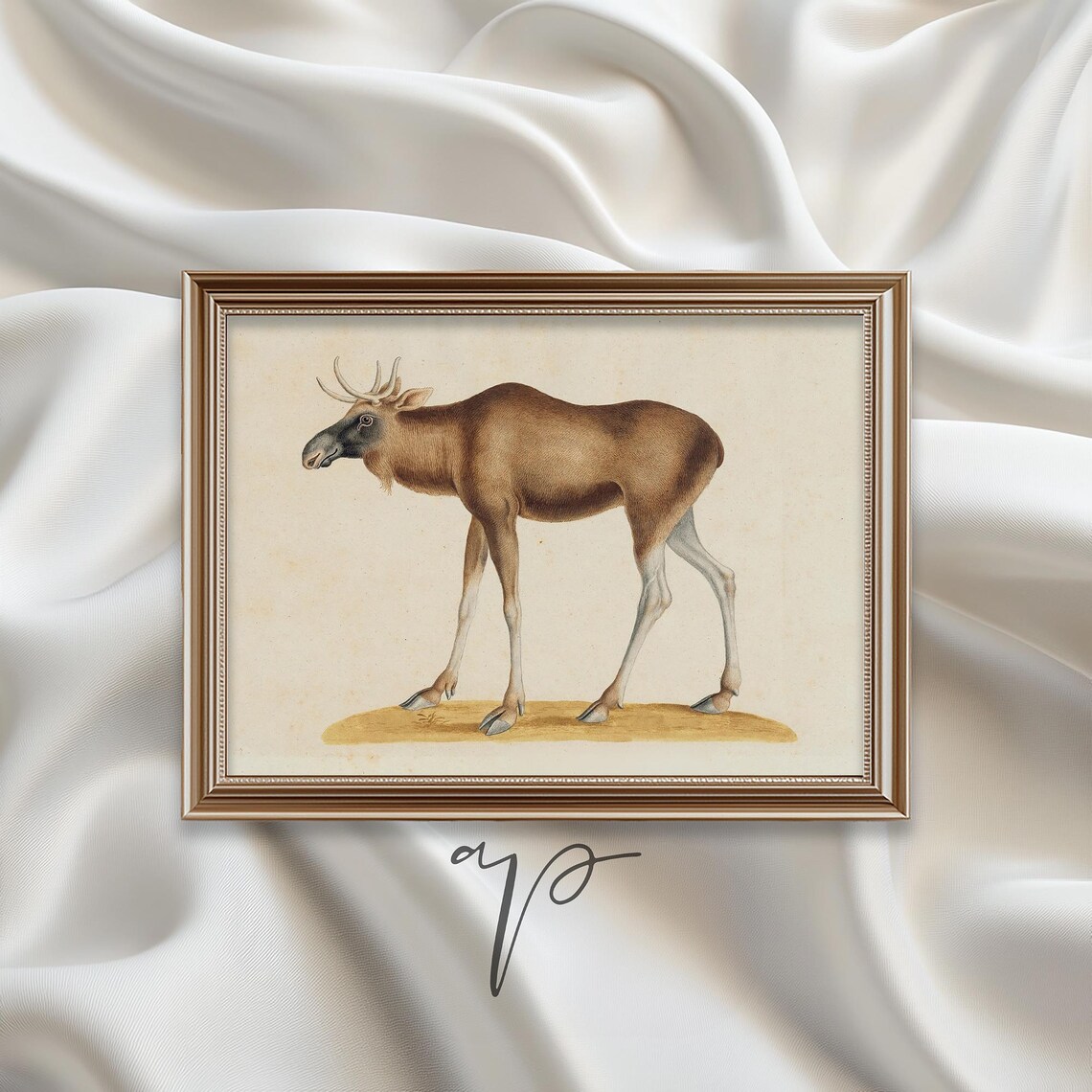 Vintage Elk Natural History Illustration Antique Animal Art Poster