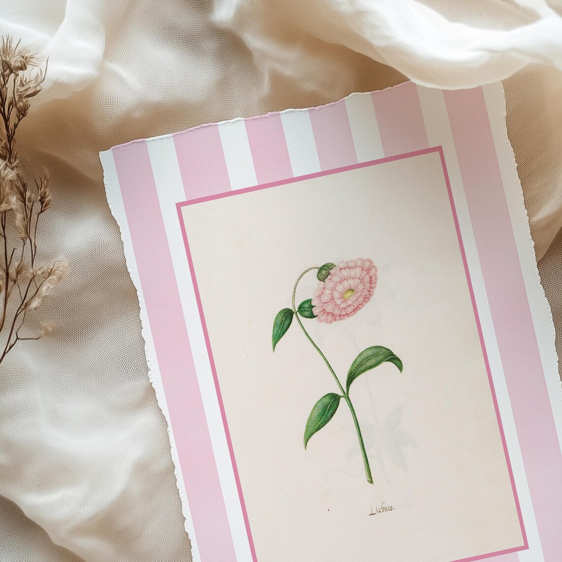 Pink Striped Vintage Chrysanthemum Botanical Floral Nursery Poster - Image 4