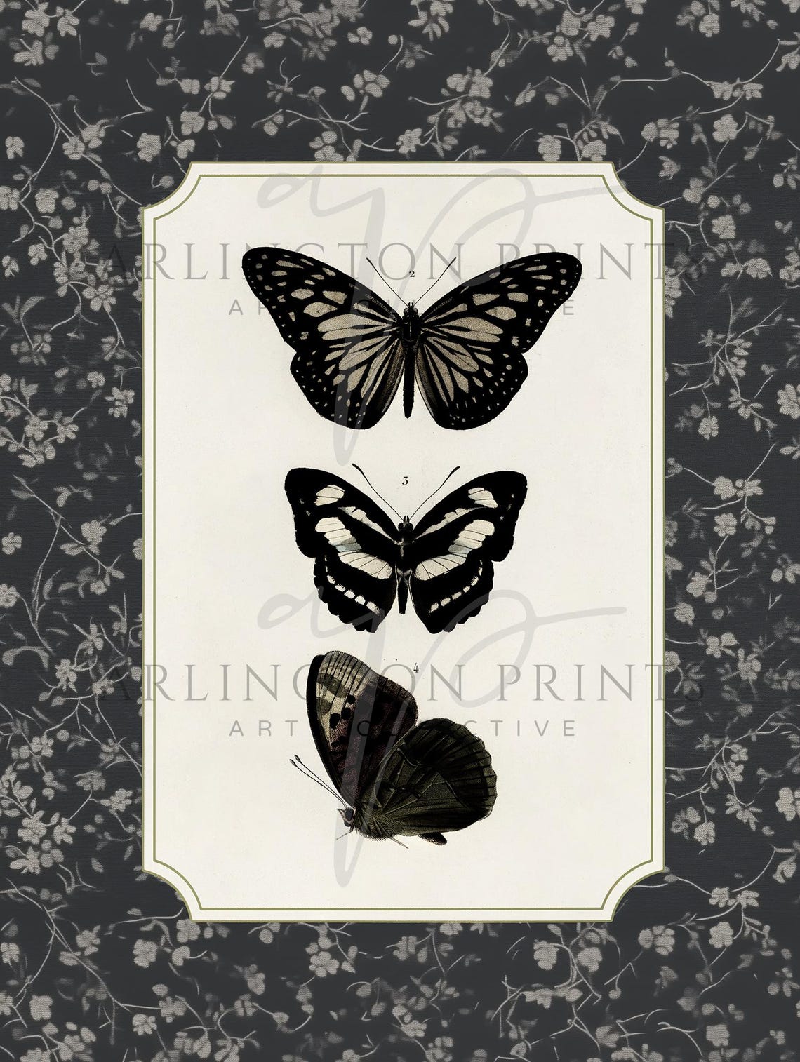 Gothic Black Butterflies Dark Academia Botanical Vintage Poster - Image 3