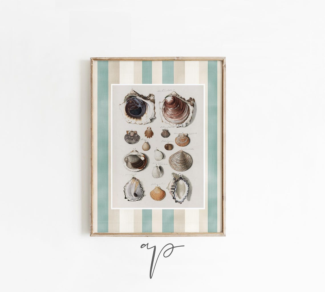 Vintage Seashell Scientific Chart Scallop Conch Coastal Poster - Image 2