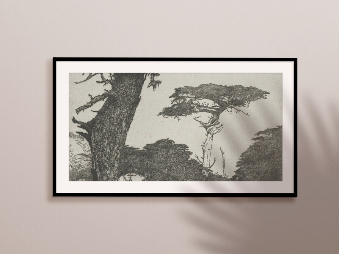 Windswept Cypress Trees Monochrome Engraving Vintage Nature Art Print - Image 2