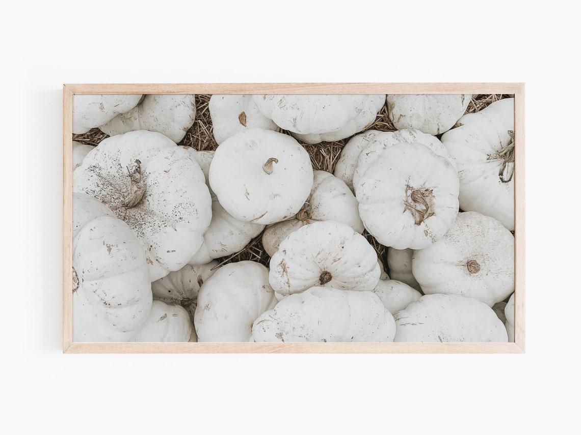 White Pumpkin Harvest Patch Rustic Fall Farmhouse Photo Print - Image 2