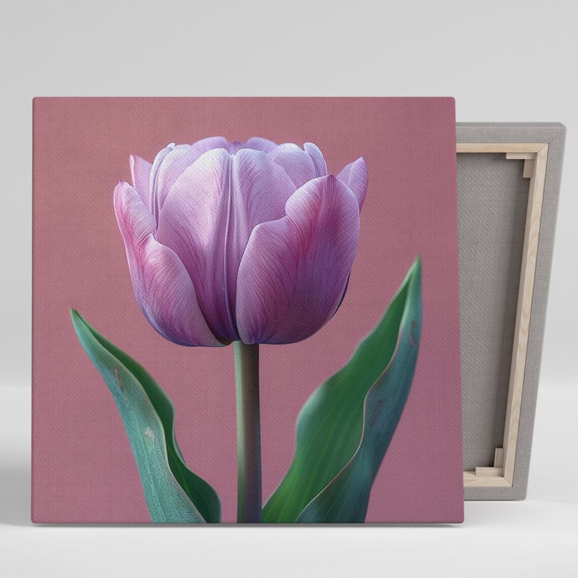 Purple Tulip Flower Close Up Photography Mauve Background Art Poster