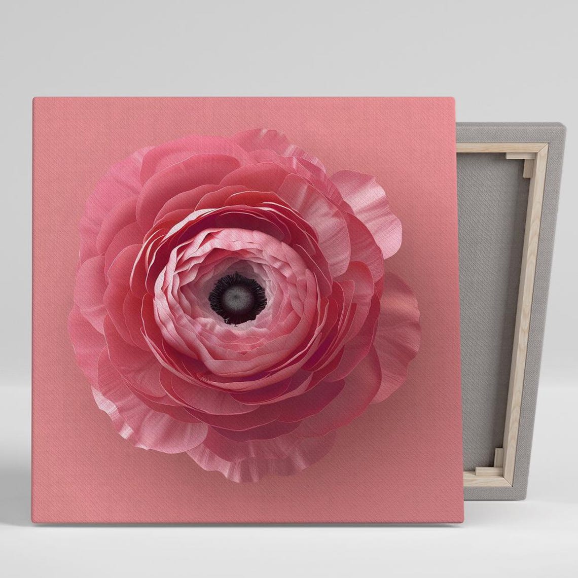 Pink Ranunculus Macro Dark Center Coral Minimalist Floral Wall Poster