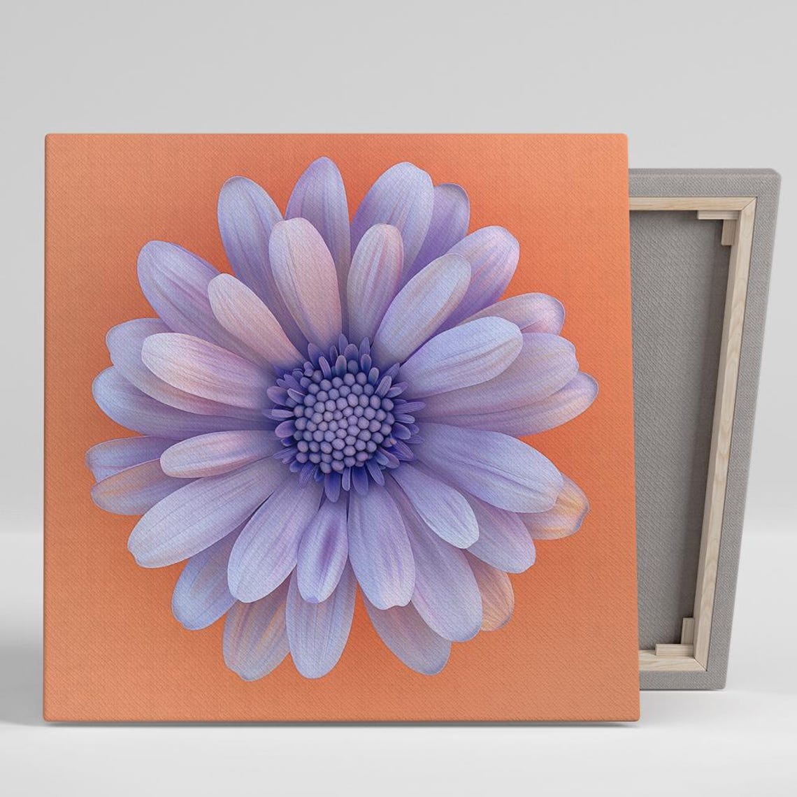 Violet Purple Daisy Flower Macro Coral Orange Background Wall Art