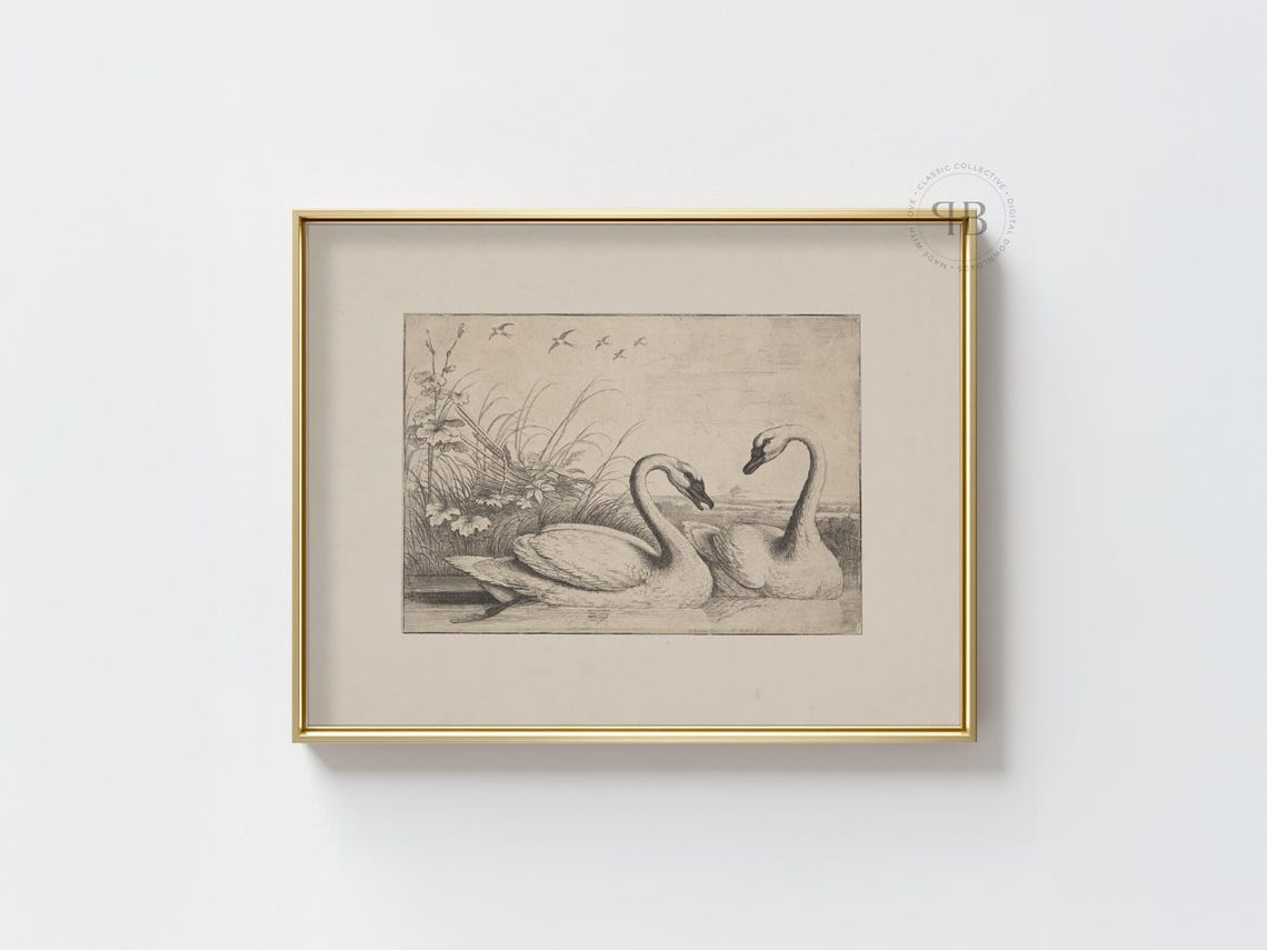 Swan Print Botanical Animal Artwork Minimalist Bird Illustration Elegant Farmhouse Decor Neutral Wall Art No857