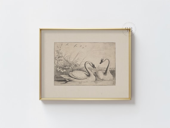 Swan Print Botanical Animal Artwork Minimalist Bird Illustration Elegant Farmhouse Decor Neutral Wall Art No857