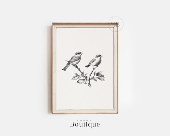 Black And White Sparrow Illustration Botanical Bird Wall Art For Rustic Or Farmhouse Decor Vintage Style No665