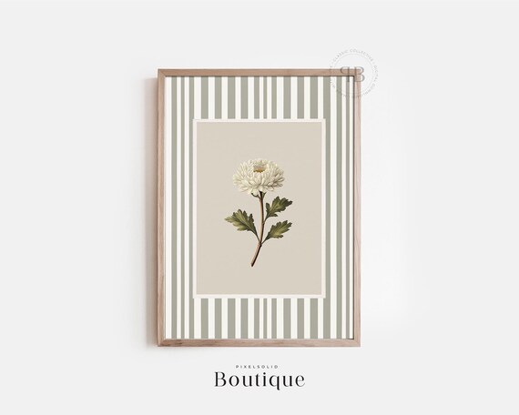 Chrysanthemum Botanical Wall Art White Flower Illustration Stripe Pattern Vintage Style Decor No634