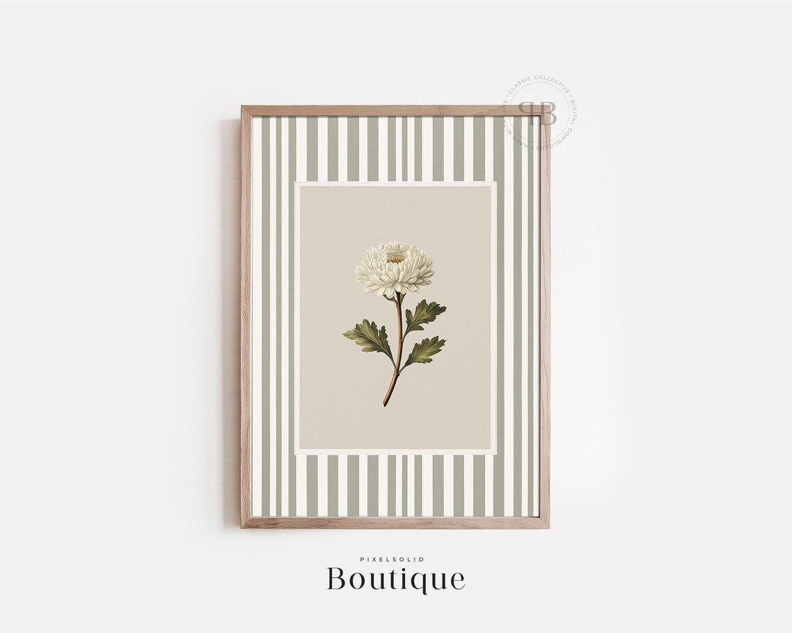 Chrysanthemum Botanical Wall Art White Flower Illustration Stripe Pattern Vintage Style Decor No634
