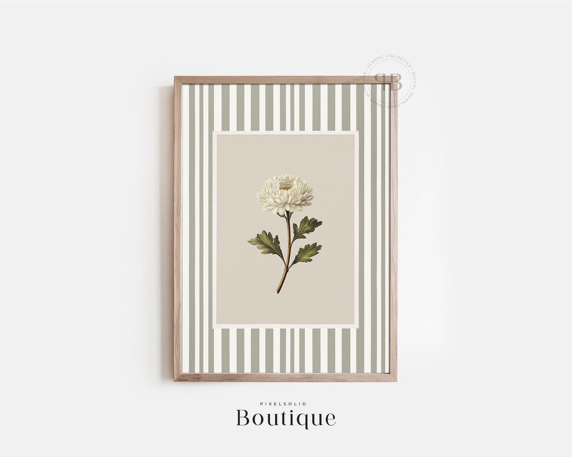 White Chrysanthemum Botanical Illustration Sage Stripe Border Wall Art