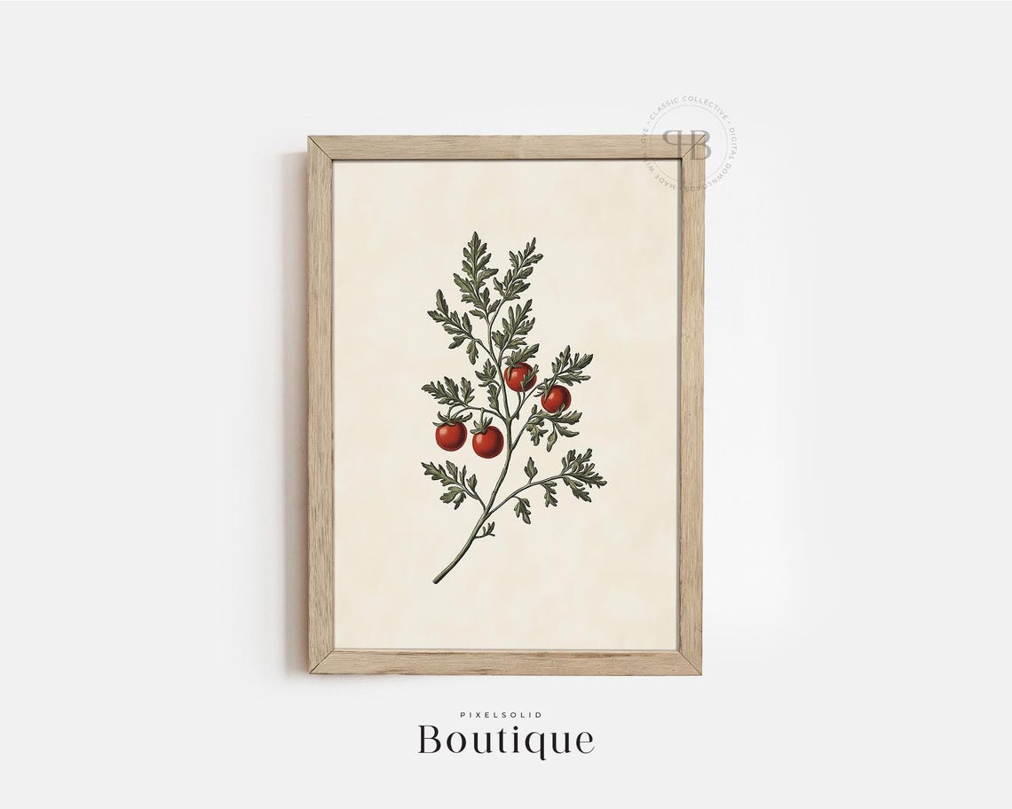 Vintage Tomato Plant Botanical Illustration Rustic Kitchen Poster