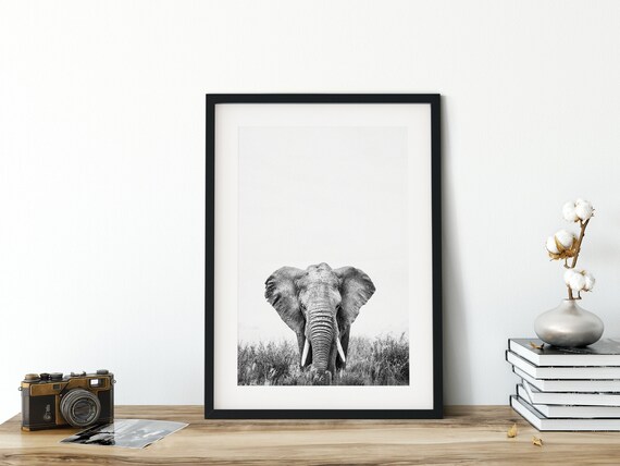 Elephant Photo, Safari African Animal Wall Art