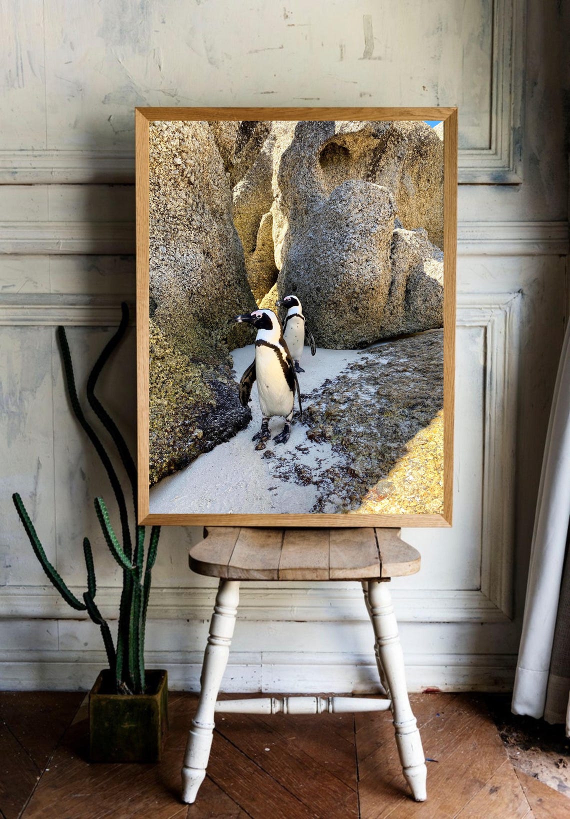 African Penguins On Rocky Beach Wildlife Nature Photography Poster - Image 2
