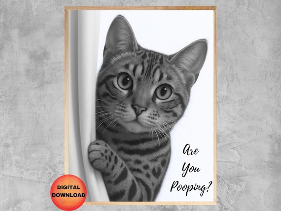 Bengal Cat Are You Pooping Poster Black And White Bathroom Wall Art Funny Print Lovers Whimsical