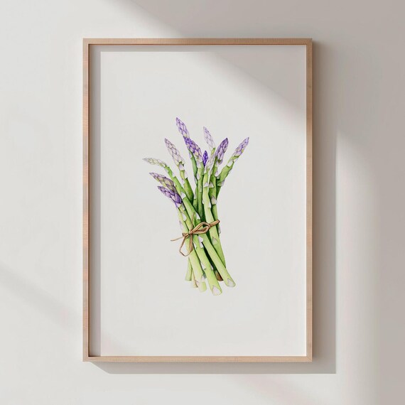 Fresh Asparagus Bunch Tied with Twine Botanical Watercolor Poster